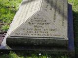 image of grave number 807519